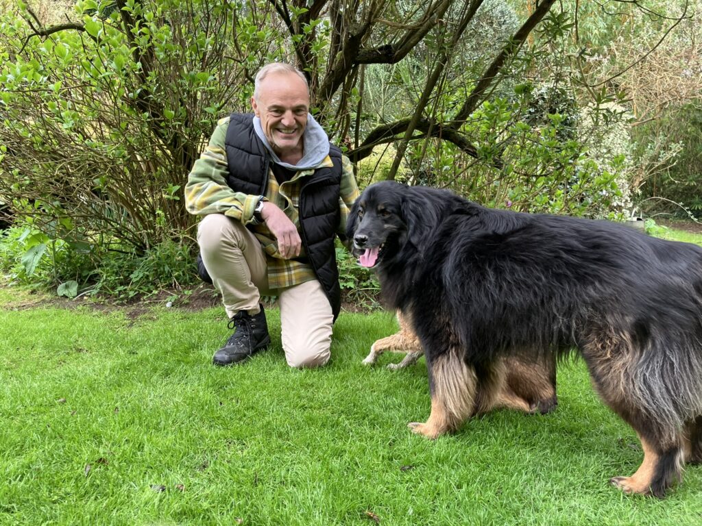 Dog Training Free Consultation in Norfolk