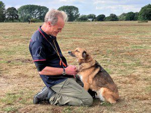 Dog Trainer Norwich